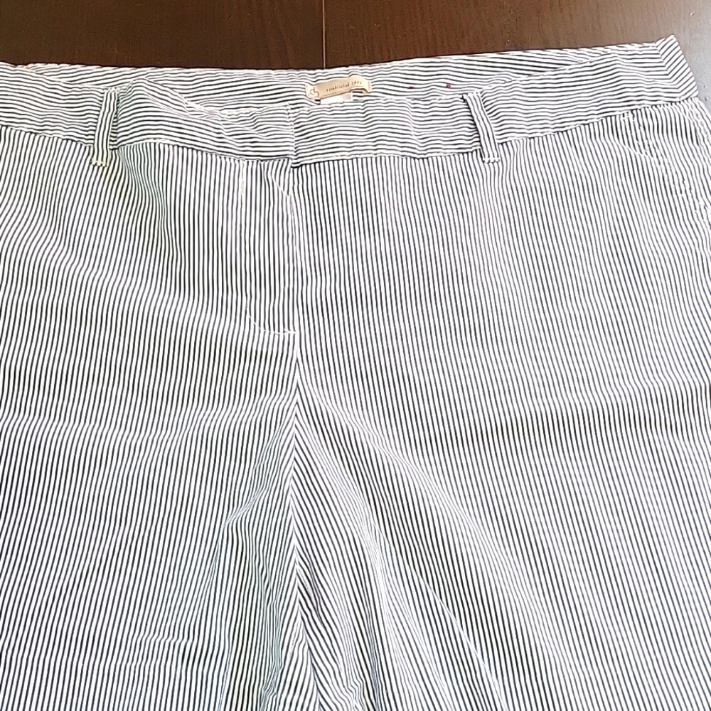 Dressbarn Seersucker Sz 20 Shorts